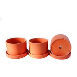 Goodman and Wife Fat Walled Terracotta Planter with Drainage Hole and Saucer Cylindrical Plants Flower Containers Unglazed Clay Pots - Set of 3