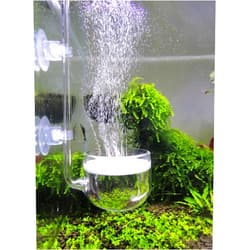 JARDLI Music Glass CO2 Diffuser for Aquarium Plant (2'' for Tank Beyond 75 gallons)
