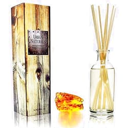 Urban Naturals Warm Vanilla Amber Reed Diffuser Gift Set | Creamy. Warm. Sultry. Notes of Sandalwood, Amber & Smoked Vanilla | Made with Essential Oils & Real Botanical Pieces