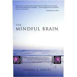Daniel J. Siegel M.D. The Mindful Brain: Reflection and Attunement in the Cultivation of Well-Being