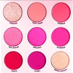 Colourpop Eyeshadow Palette OOH LA LA - Pink Monochromatic Shades, 0.3 Ounce, Powder