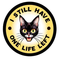Emmandsophie Black Cat Stickers - Vinyl Laptop Stickers, Cute Cat Stickers for Water Bottles & Cars - Funny Cat Stickers for Water Bottles - Durable Decals for Tumblers - Waterproof Stickers for Water Bottle