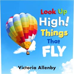 Victoria Allenby Look Up High! Things That Fly (Big, Little Concepts, 6)