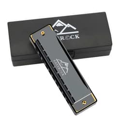 EastRock Blues Harmonica Mouth Organ 10 Hole C Key with Case, Diatonic Harmonica for Professional Player, Beginner, Students gifts, Adult, Friends, Gift Black