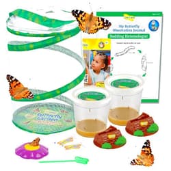Insect Lore Butterfly Garden | 10 Live Baby Caterpillars | Habitat, Feeder, Chrys-A-Lid Logs, STEM Journal Included | Raise and Release Painted Lady Butterflies