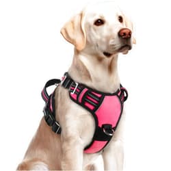 rabbitgoo Dog Harness for Large Dogs, No Pull Pet Vest with 3 Buckles, Adjustable Soft Padded Pet Harness with Easy Control Handle and Reflective Strips, Pink, L