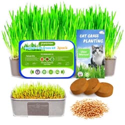 PLANTMEW Cat Grass Kit for Indoor Cats - 3 Pack | Organic Wheat Grass Seeds, Grows in 7 Days | Digestive Health & Reduces Hairball | Gift for Cat Lovers with BPA-Free Planters, Soil & Non-GMO Seeds