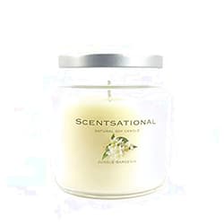 Scentsational JungleGardenia Candle, jar, Ivory