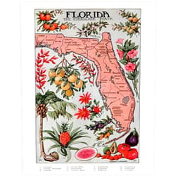 YELLOWBIRD ART & DESIGN Florida Map Vintage Wall Art 11x14 - Retro Florida State Poster Botanical Illustrations, Colorful Citrus Fruit Everglades State Artwork, Nostalgic Home Decor, Tropical Wall Art for Living Room