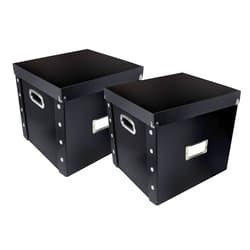 Snap-N-Store Vinyl Record Storage Box - 12