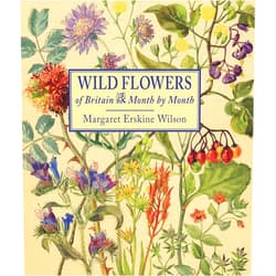 Margaret Erskine Wilson Wild Flowers of Britain: Month by Month
