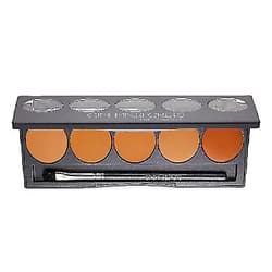 CINEMA SECRETS Pro Cosmetics Ultimate Foundation 5-In-1 Pro Palette, 300 Series