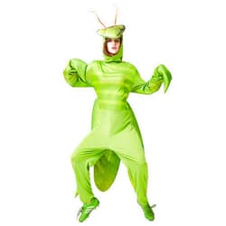 JYZCOS Praying Mantis Costume for Adult Men Women Insect Bug Fancy Dress