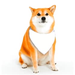 DAPAGENY Fashion Cute Pet Scarf (Cat)