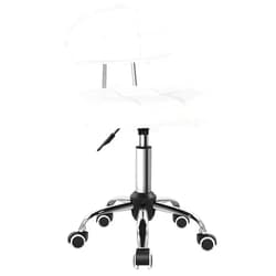 BFTOU Square Minimalist Swivel Stool with Wheel for Work SPA Shop Massage Height-Adjustable and Cost-Effective Rolling Stool Chair with Back White