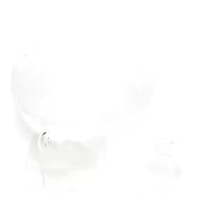 SPECTRA Mamivac - Cherry Shaped Nipple Shield for Breast Milk Pumps - Medium 22mm (Pack of 2)