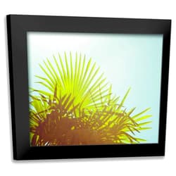 ArtDirect - Quintero, Sonja 18x15 Black Modern Framed Art Print Titled: Sunny Palms I