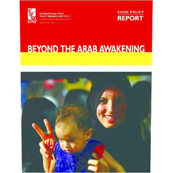 Clemens Breisinger,Olivier Ecker,Perrihan Al-Riffai,Bingxin Yu Beyond the Arab Awakening: Policies and Investments for Poverty Reduction and Food Security