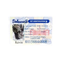 Puplook Delaware Pet Driver License ID Tag,Dog Identification Tags Custom Tags，Cat Identification Tags Customized，Pet Name Tags Personalized，Dog Name Tags Personalized Silent-(S)