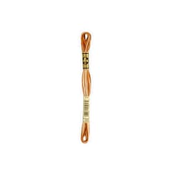 Dmc 6-Strand Embroidery Cotton 8.7yd-Variegated Brown