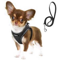 Fida Comfy Dog Harness with Leash, Soft Puppy Vest Escape Proof, Breathable Lightweight Soft Mesh, Adjustable Reflective Step-in Harness for Cat & Extra-Small Pet (XS, Black)