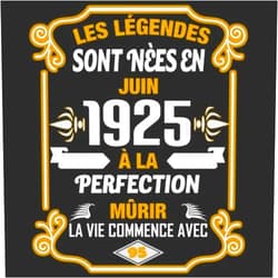Amandine Doubarant,Légendes Anniversaire Les Légendes Sont Nèes En Juin 1925 À La Perfection Mûrir La Vie Commence Avec 95: Livre d'or - Son Jubilé Livre à Personnaliser pour les ... Decoration idée - Thème: Or (French Edition)