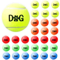 Yunsailing 30 Pieces Tennis Balls for Dog Bulk Colorful Interactive Pet Dog Gift for Play Exercise and Training 2.5 Inch Easy Catching Dog Toys with Carry Bag, 5 Colors