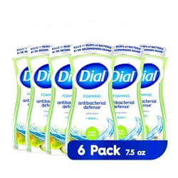 Dial Antibacterial Foaming Hand Wash, Fresh Pear, 7.5 fl oz Pack of 6)
