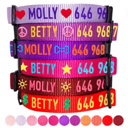 Blueberry Pet Essentials Personalized Dog Collars for Medium Dogs | Adjustable & Personalized Dog Collar with Name Tag - Embroidered with Pet Name & Phone Number (Lavender, Medium)