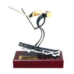 Trophy Monster Skiing Exclusive Handmade Metal Trophy 4 Sizes