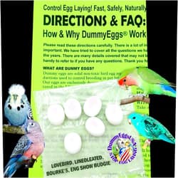 DummyEggs 6 Lovebird (Agapornis) Dummy Bird Eggs Stop Egg Laying! Realistic Nontoxic Plastic – USA Made
