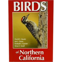 By David E. Quady (Author), Jon L. Dunn (Author), Kimball L. Garrett (Author), Brian E. Small (Author), David Quady and Christina Morse (Editor), Christina Merwin (Illustrator), Rusty Scalf (Illustrator) & 4 more Birds of Northern California