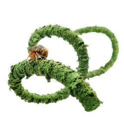 Wenriko Hermit Crab Climbing Toys, 39 inches Bendable Hermit Crab Climbing Vine, Hermit Crab Tank Accessories