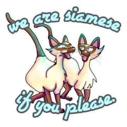 JSE Designs Siamese Cats Vinyl Sticker Laptop Decal Waterproof 5