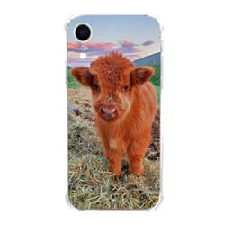KatocZarl Baby Highland Cow Case Compatible with iPhone XR, Cute Baby Cow in The Mountains Case for iPhone XR，Slim Shockproof TPU Bumper Protective Cover Case