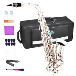 EASTROCK Alto Saxophone Nickel E Flat Sax Full Kit for Students Beginner with Carrying Case,Mouthpiece,Mouthpiece Cushion Pads,Cleaning Cloth&Cleaning Rod,White Gloves,Neck Strap