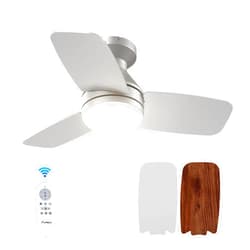 Amico Ceiling Fans with Lights, 30 Inch Low Profile Ceiling Fan with Light and Remote Control, Flush Mount, Reversible, 3CCT, Dimmable, Noiseless, Silver Ceiling Fan for Bedroom, Indoor/Outdoor Use