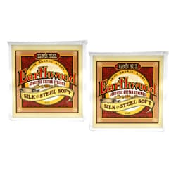 Total music Source 2 PACK Ernie Ball P02051 Earthwood Silk and Steel 12-String Soft Acoustic Set.009 - .046