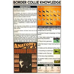 Youpinnong Border Collie Knowledge Tin Posters Highlights Anatomy Metal Signs Room Decor Science Education Farm Club Wall Decor Vintage Plaque 12x18Inches