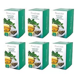 Revolution Tea - Mesh Infuser Full Leaf Tea - Southern Mint - Herbal Tea - 20 Bags - 6 Pack Southern Mint Herbal 20 Count (Pack of 6)