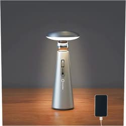 Preala Table Lamp Touch Control Lamp Stepless Dimmable Rechargeable Desk Lamp LED Portable Table Bedside Light for Living Room Bedroom (Gray)