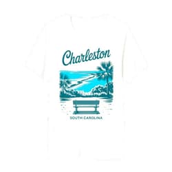 Threadrock Charleston South Carolina Vintage Travel Scenic View Premium Tri-Blend T-Shirt