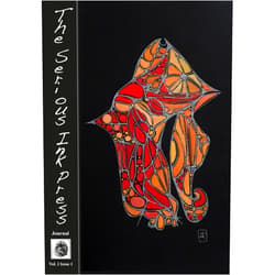 By Stephen John Kaldon (Author), Scott Lewis (Contributor), Don Porcella (Contributor), Callie Hirsch (Contributor), Nancy Wolitzer (Contributor), Anna Pfeifer-Salten (Contributor), Jennifer Maxwell Papin (Contributor), Christine Shaffer (Contributor) & 4 more The Serious Ink Press Journal Volume 2 Issue 1
