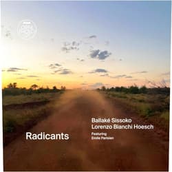 Ballaké Sissoko (Artist), Lorenzo Bianchi Hoesch (Artist) Format: Vinyl Radicants