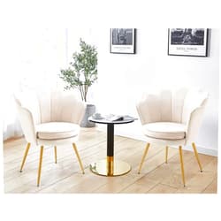 WQSLHX Velvet Accent Chairs Set of 2, Modern Armchairs for Living Room Bedroom, Tufted Vanity Chair for Dressing Room, Gold Finish, Beige