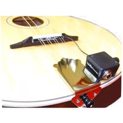 Schatten Design Schatten BM-1 PRO Passive Bouzouki/Mandola Pickup w/Vol