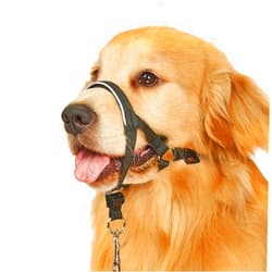 BARKLESS Head Collar for Dogs, No Pull Head Halter for Large Medium Small Dogs, Dog Halter Stops Heavy Pulling, Muzzle Leash with Padded Safety Strap for Walking Training(Black, XL)