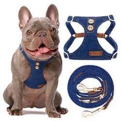 Puppytie No Pull Dog Harness with Multifunction Dog Leash,Soft Adjustable No Choke Escape Proof Pet Harness Vest for Medium Dogs or Large Dogs,Denim Blue,M