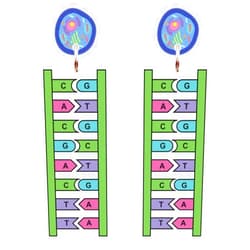 BooNique FOR MY UNIQUE BOO School Subjects Earrings Collection – Fun Teacher & Student Accessories, Teacher Appreciation Gifts, End-of-Year Presents, Classroom Party Favors, Back-to-School Jewelry, Teacher Retirement, Birthday & Holiday Gifts