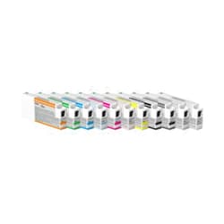 Epson UltraChrome HDR Ink Cartridge - 350ml Light Light Black (T596900)